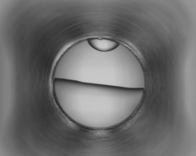 X0000111931188200908101136