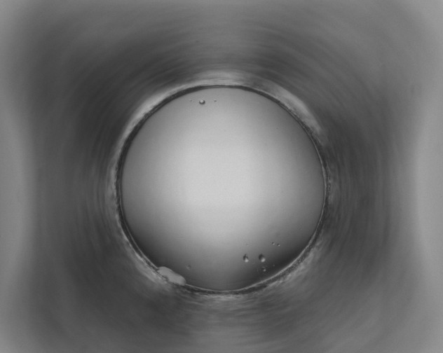 X0000111931192200908101135