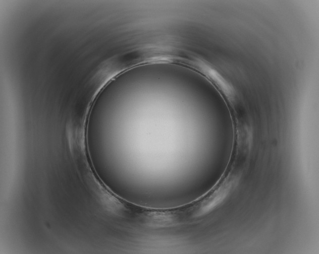 X0000111931194200908101135