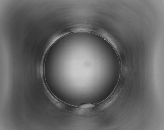 X0000111931195200908101135