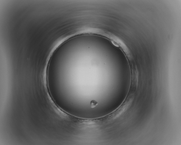 X0000111931199200908101135