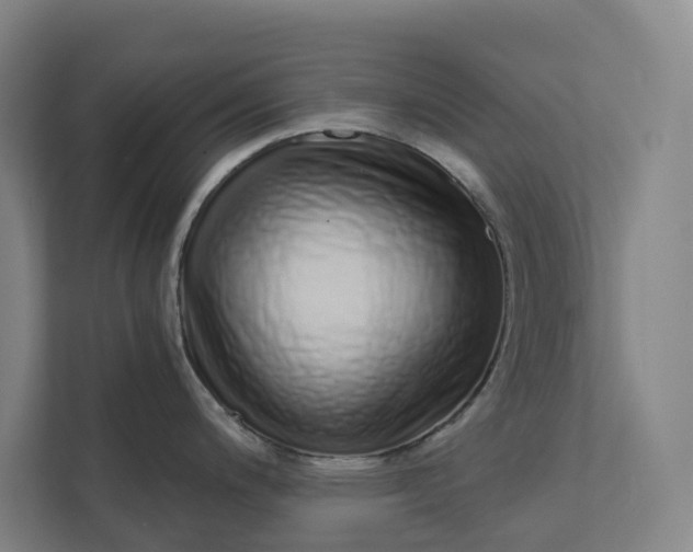 X0000111931200200908101135