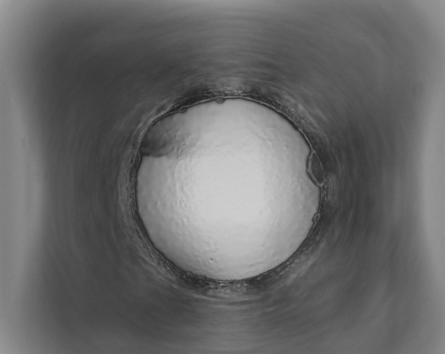 X0000111931201200908101135