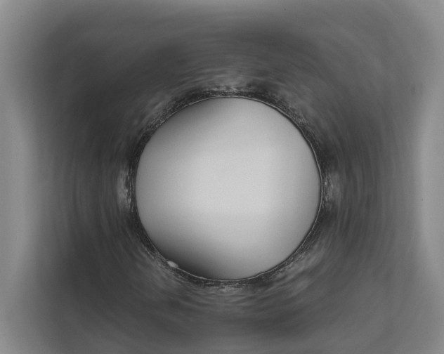 X0000111931202200908101135