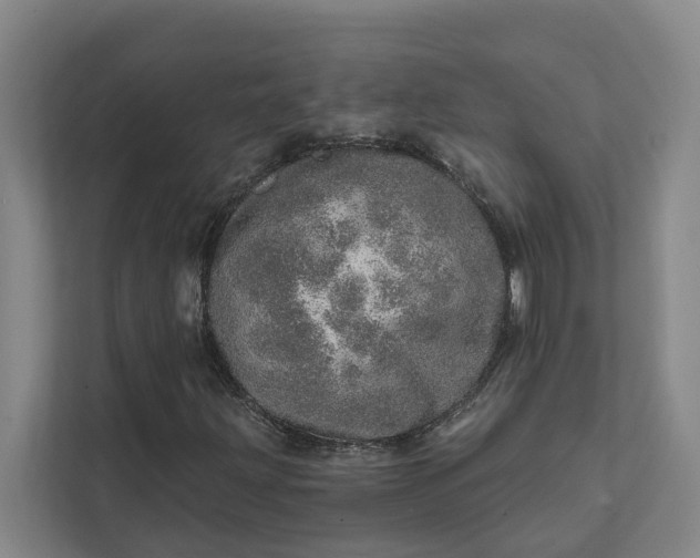 X0000111931203200908101135