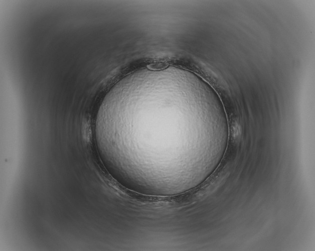 X0000111931204200908101135