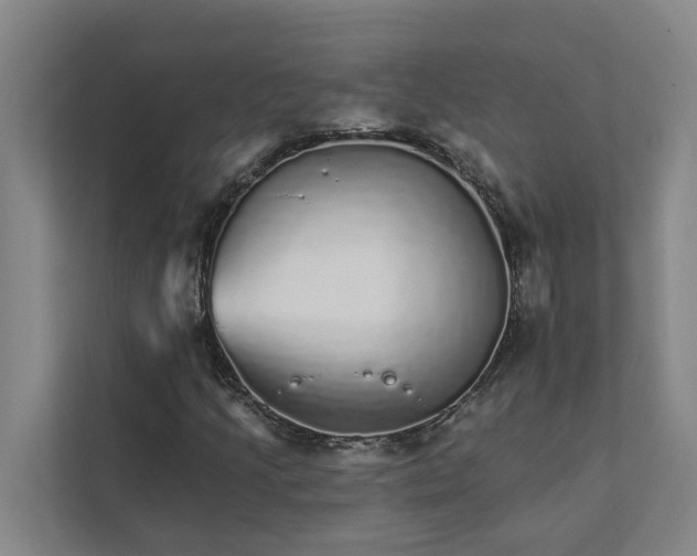 X0000111931205200908101135