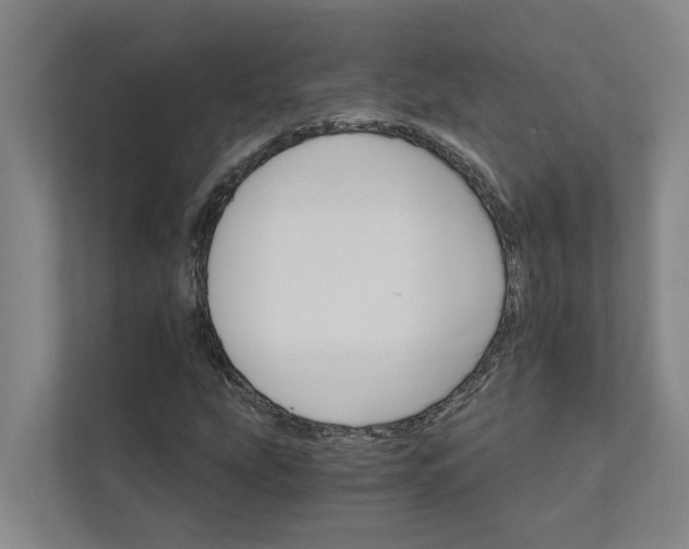 X0000111931207200908101135