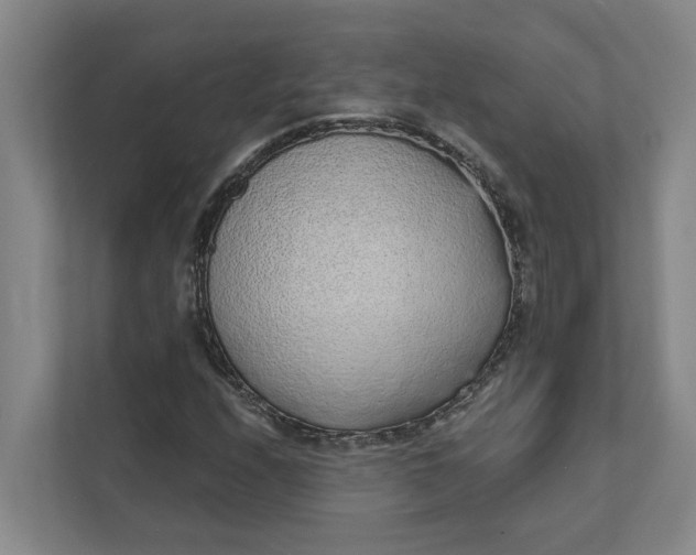 X0000111931208200908101135