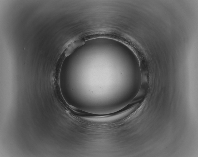 X0000111931210200908101135