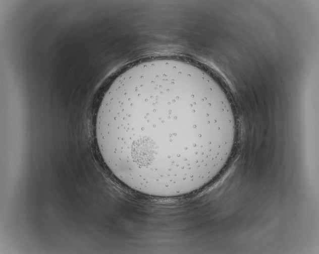 X0000111931211200908101135