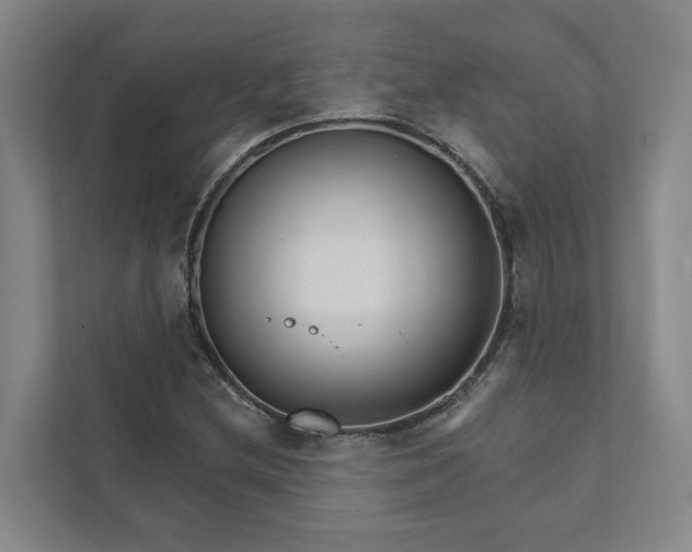 X0000111931212200908101135