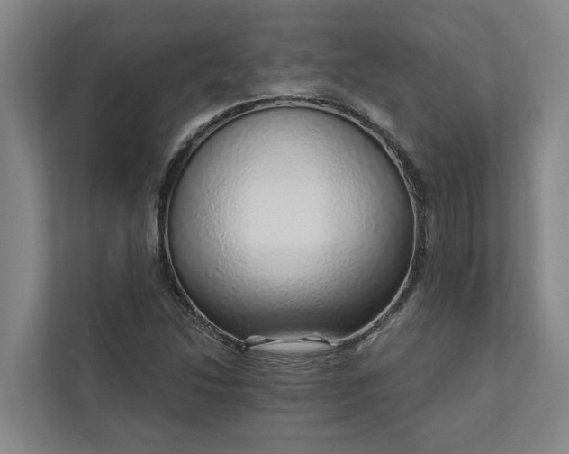 X0000111931214200908101135