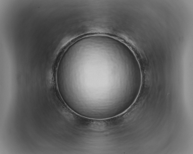 X0000111931215200908101135