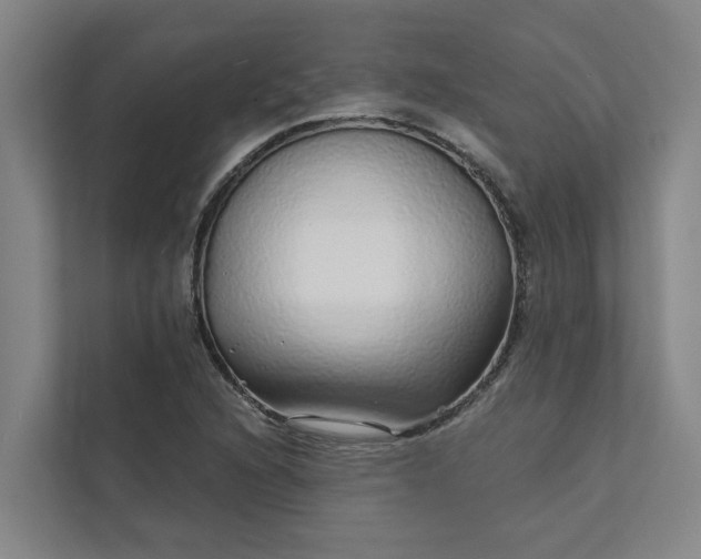 X0000111931216200908101135