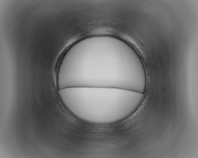 X0000111931219200908101135