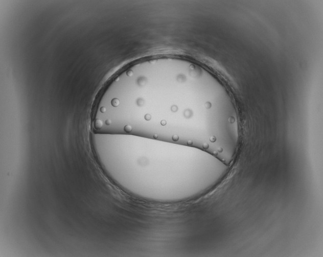 X0000111931220200908101135