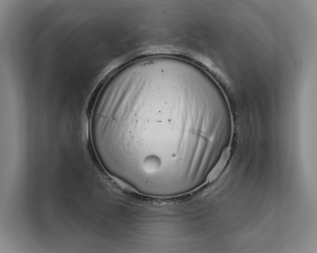 X0000111931221200908101135