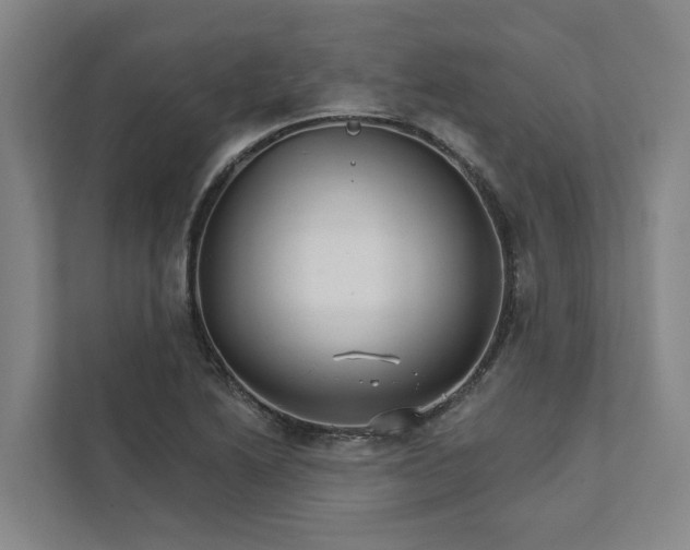 X0000111931222200908101135