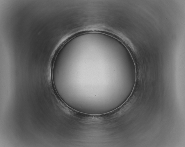 X0000111931224200908101135