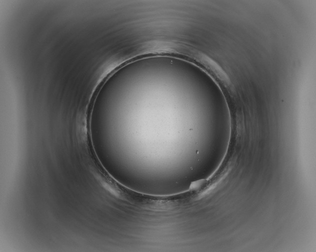 X0000111931226200908101135