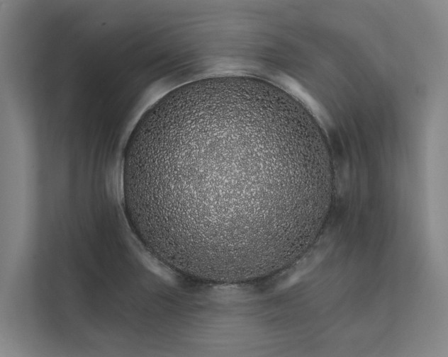 X0000111931227200908101135