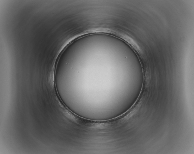 X0000111931228200908101135