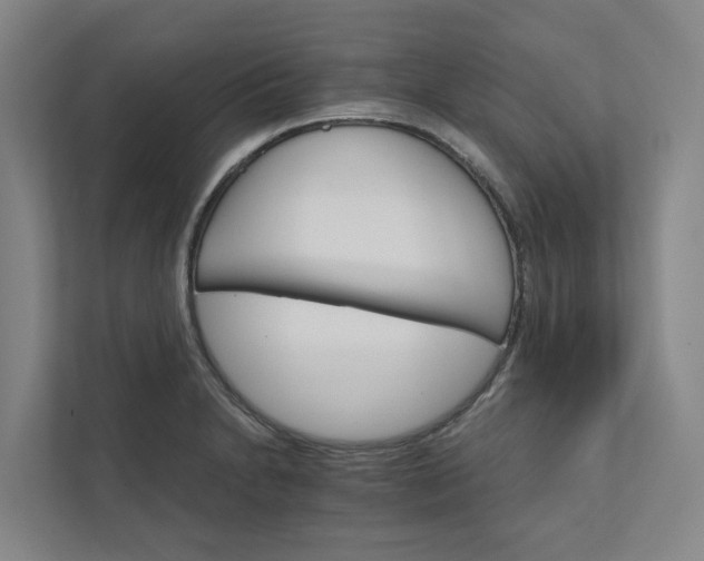 X0000111931230200908101135