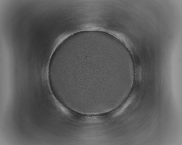 X0000111931231200908101135