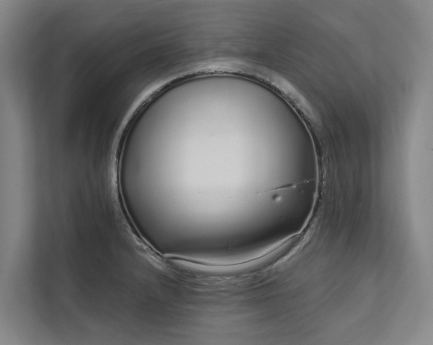 X0000111931232200908101135