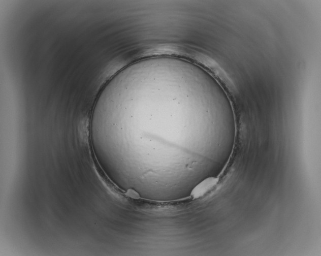 X0000111931233200908101135