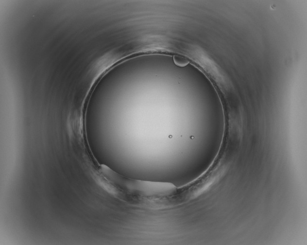 X0000111931234200908101135