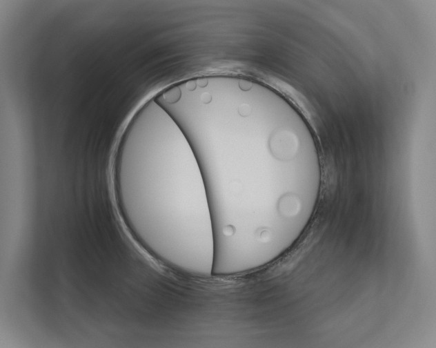 X0000111931235200908101135