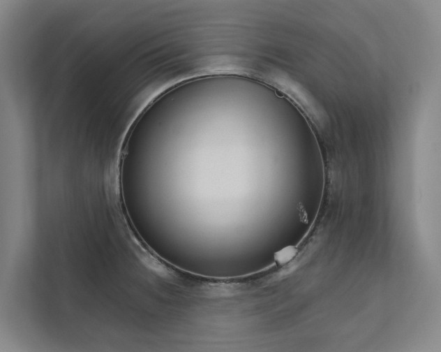 X0000111931236200908101135