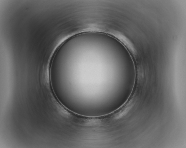 X0000111931238200908101135