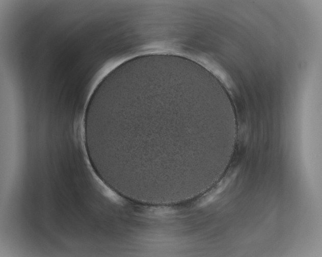 X0000111931239200908101135