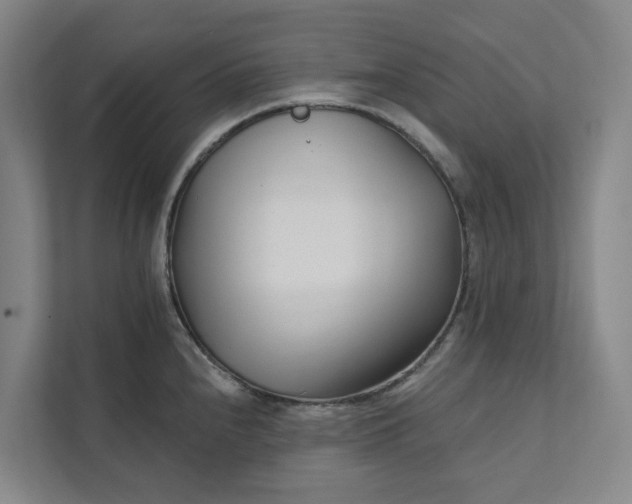 X0000111931240200908101135