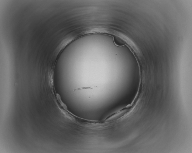 X0000111931241200908101135