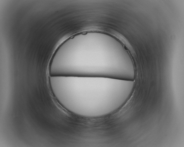 X0000111931242200908101135