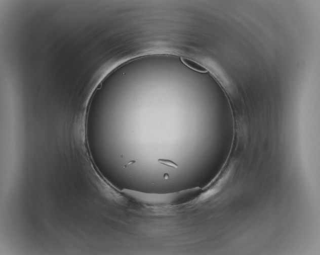 X0000111931244200908101135