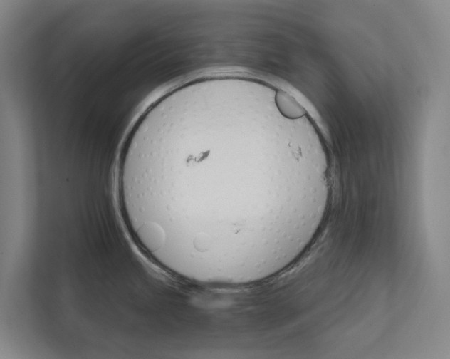 X0000111931245200908101135