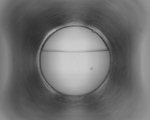 X0000111931246200908101135