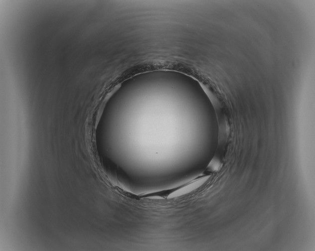 X0000111931249200908101135