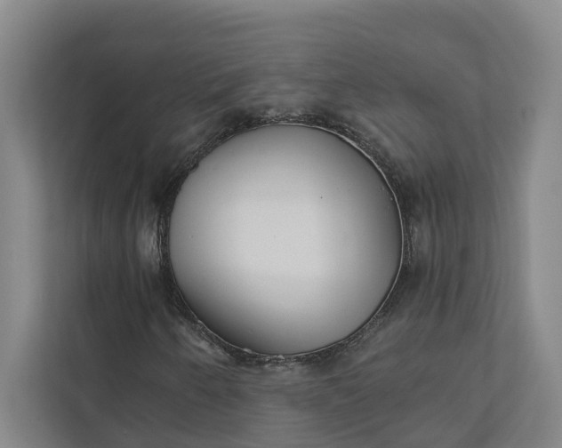 X0000111931250200908101135