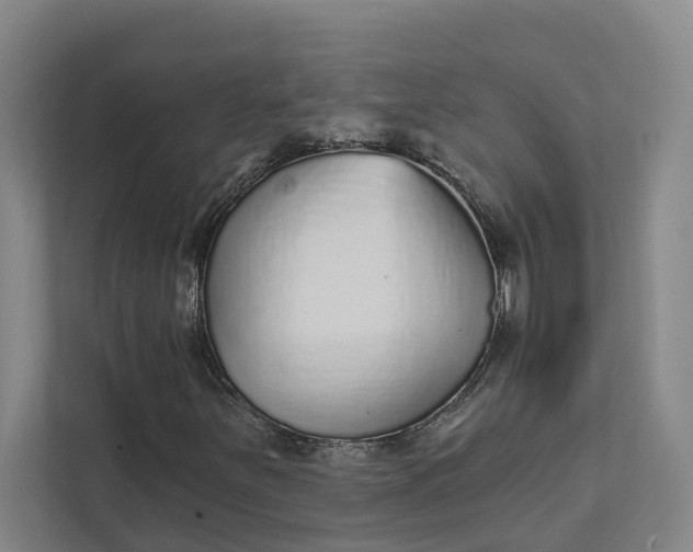 X0000111931251200908101135