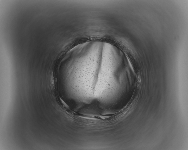 X0000111931252200908101135