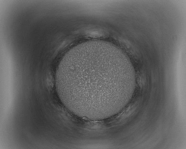 X0000111931253200908101135