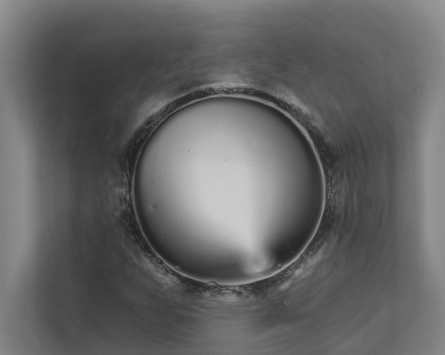 X0000111931255200908101135