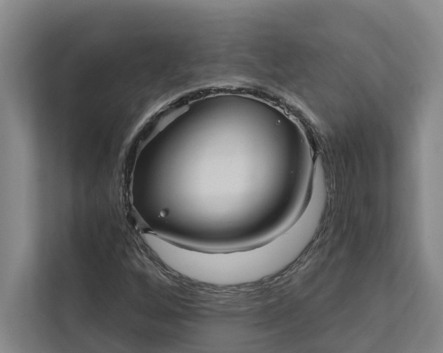 X0000111931256200908101135