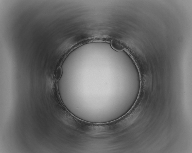 X0000111931257200908101135